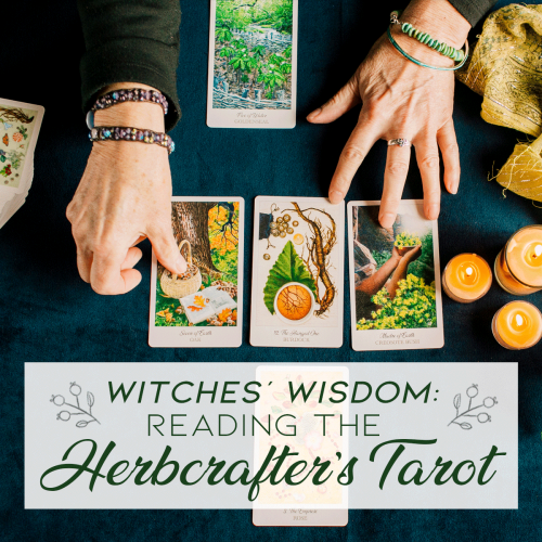 Herbcrafter's Tarot self-study course